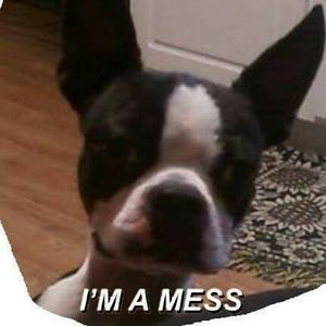 Meet your Posher, Tj